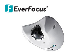 IP камеры Everfocus